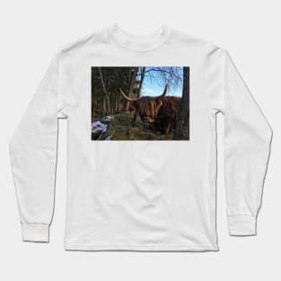 Scottish Highland Cattle Cow 2300 Long Sleeve T-Shirt